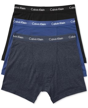 Комплект трусов Calvin Klein (3 шт.) - фото 11838