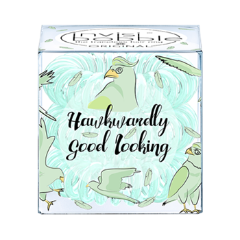 Резинки для волос Invisibobble Hawkwardly Good Looking BH024486
