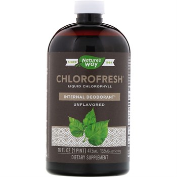 Nature's Way, Chlorofresh, жидкий хлорофилл, неароматизированный, 480 мл - фото 17149