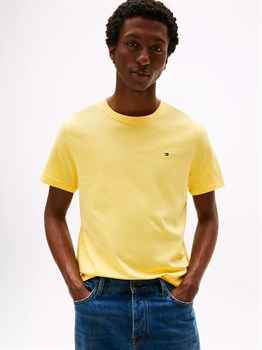 Футболка мужская Tommy Hilfiger - фото 25820