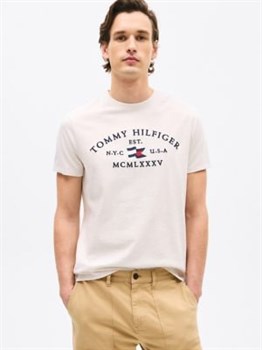 Футболка мужская Tommy Hilfiger - фото 26220