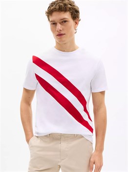 Футболка мужская Tommy Hilfiger - фото 26245