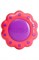 расческа Tangle Teezer Compact Flower Purple Blossom BH02481