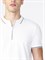 Поло Armani Exchange WC024467