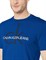 Футболка Calvin Klein Jeans MC025005