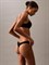 Комплект женского нижнего белья Calvin Klein (3 шт) - фото 24792 Комплект женского нижнего белья Calvin Klein (3 шт) - фото 24792