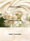 Лосьон Victoria's Secret Darling Vanilla Jasmine - фото 25939